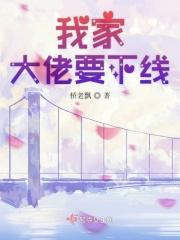 我家大佬要下线