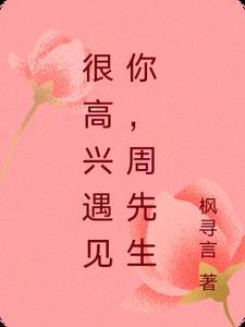 很高兴遇见你，周先生