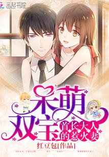 呆萌双宝：首长大人的惹火妻